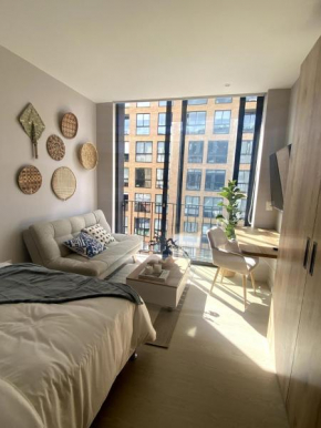 Chic downtown loft - near Zona Rosa